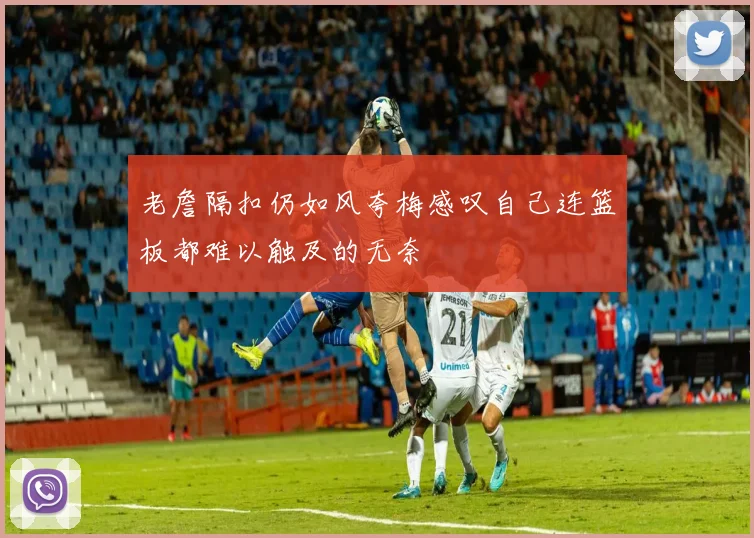 老詹隔扣仍如风夸梅感叹自己连篮板都难以触及的无奈